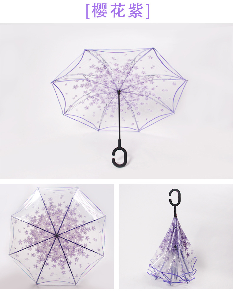 樱花紫反向伞