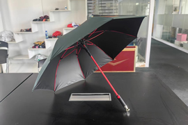 红骨雨伞